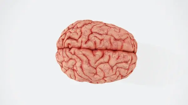 Neurology Billing Guide 2026: EEG, EMG, Cognitive Testing, and Infusion Coding